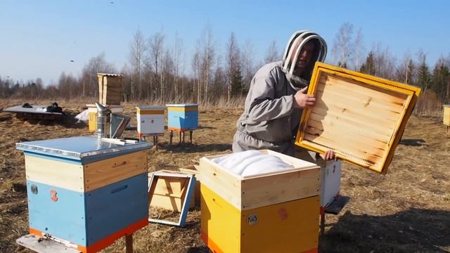 Итоги зимовки 2018. Битва пород смотреть онлайн