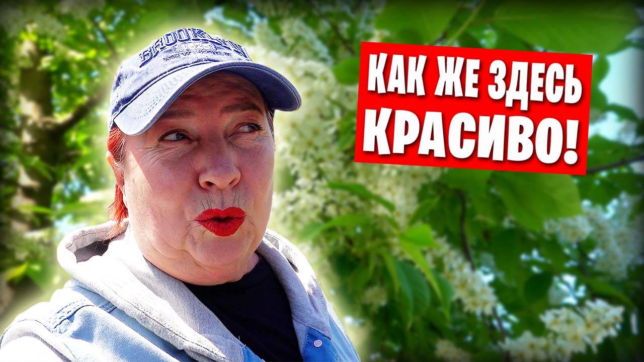 Цветущий Донецк / Прогулка в парк Щербакова / Зацвела сакура и магнолия смотреть онлайн