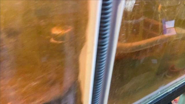 КАРПЫ КОИ...УБИЛИ всего малька СТЕРЛЯДИ смотреть онлайн