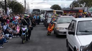 Karcocha в Коста-Рике-Коронадо 2018