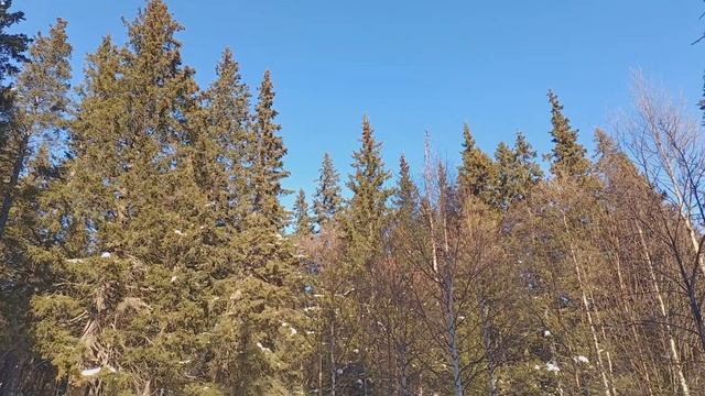 Путешествие на ЮРМУ смотреть онлайн