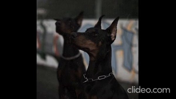 KVPV - Inex (Музыка в машину)