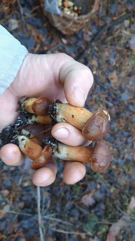 хороший улов :)