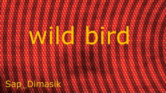 Wild Bird