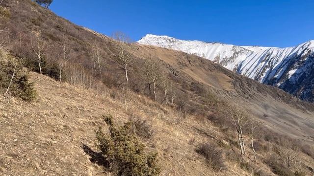 АЛЖАН ЖУДОДАЛЪУН БЕРЦИНЛЪАРАЛ ,АБУБАР, Г!УМАР,Г!УСМАН,Г!АЛИ رضي الله عنهم . смотреть онлайн