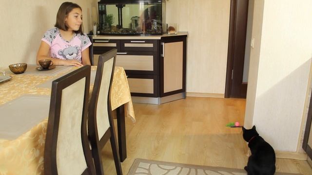ВЫГОНЯТ из ШКОЛЫ/Uni Ксю/КОШКА ЖДУН в шоке смотреть онлайн