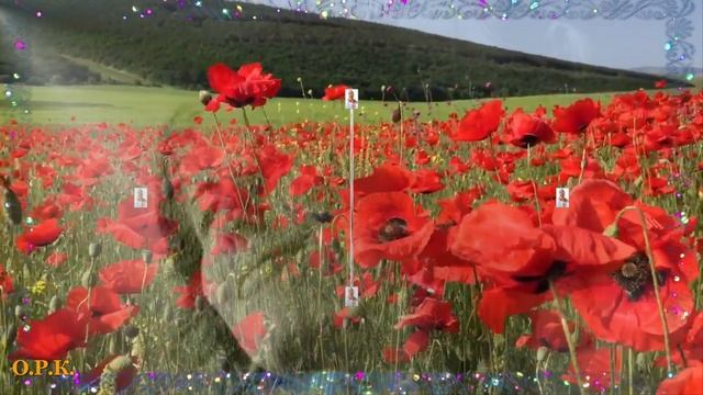 РАДИ ЭТОЙ ЖЕНЩИНЫ смотреть онлайн