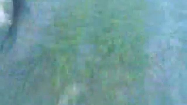 Наездник.3gp смотреть онлайн