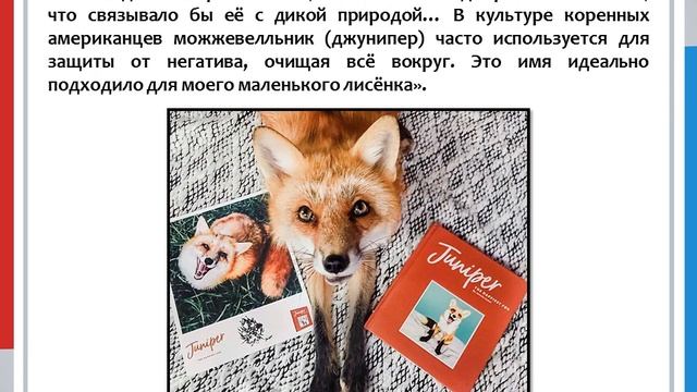 Джессика Кокер. Счастливая лиса Джунипер смотреть онлайн