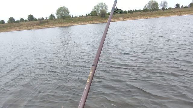 BALISONG разловлен 2 мая