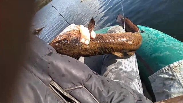 Налим - Никодим смотреть онлайн