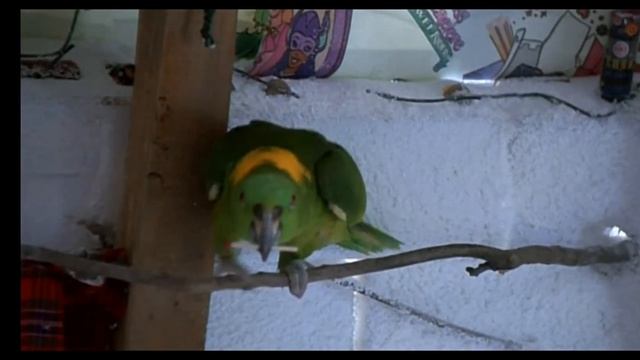 один дома 3 1997:11 часть смотреть онлайн