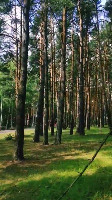 #anime #music #remix #animeedit #phonk #динара #travel смотреть онлайн