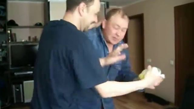Яичница прикол смотреть онлайн