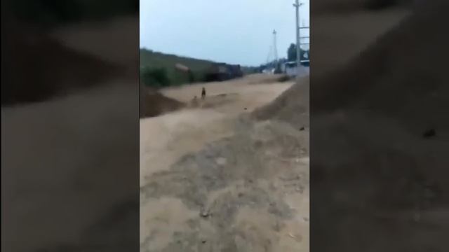 Смешные и нелепые ситуации. | Здрасте! #Shorts #приколы #приколы2022 смотреть онлайн