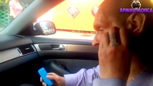 Брутальный юмор, мопс, дядя пёс, подборка, 18+ смотреть онлайн