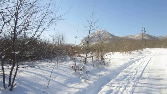 прикольная прогулка