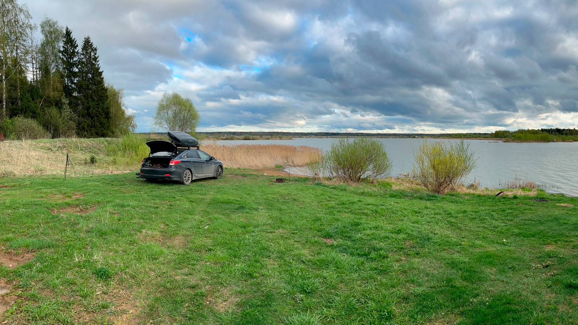 Карп в Апреле! Ночная рыбалка. Рыбхоз Раково! 2025 Малая Истра, Московская область