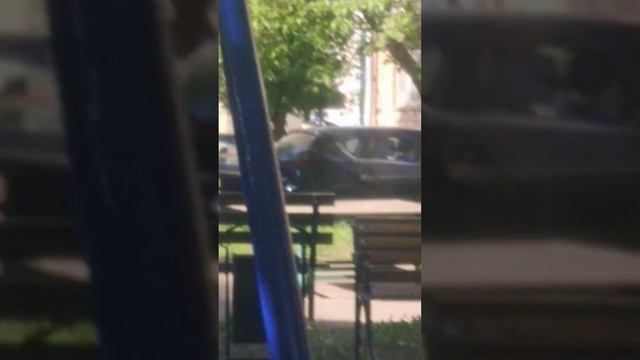 Савва бинго бум и дошик 3039 (колаб) смотреть онлайн