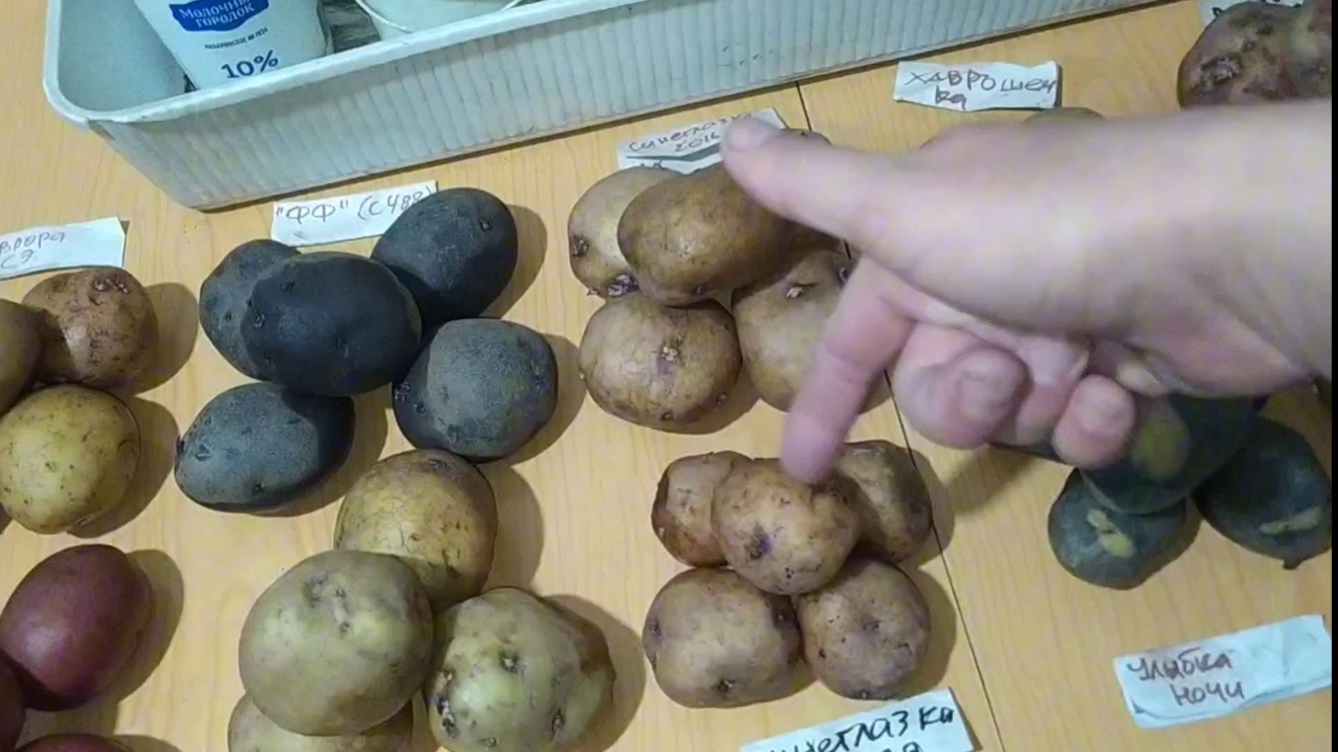 Пришла посылка с семенным картофелем от Олега Телепова (19 сортов)