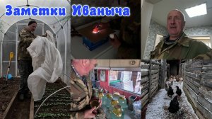 Что сделать из березового сока, проверяю зародышей в яйцах