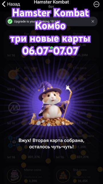 Hamster Kombat Комбо 6 июля три новые карты Hamster Kombat Combo 6 july 06.07-07.07 смотреть онлайн