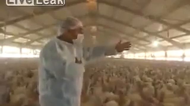 ПРИКОЛ ИНДЮКИ НА ДЕМОНСТРАЦИИ