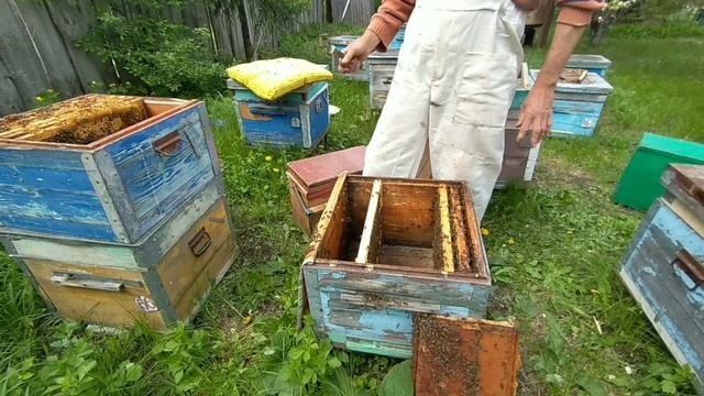 Продолжаем борьбу с клещом. смотреть онлайн