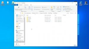 как скачать моды на брик ригс пиратка 2024(на любые версии)