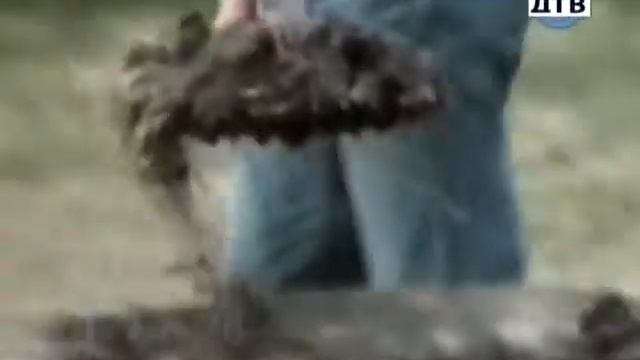 Прикол самое смешное видео приколись онлайн смотреть онлайн