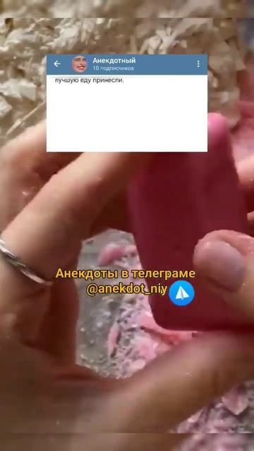 Анекдот про статью 🤣 #шутки #приколы #приколы #анекдоты #смех #юмор смотреть онлайн