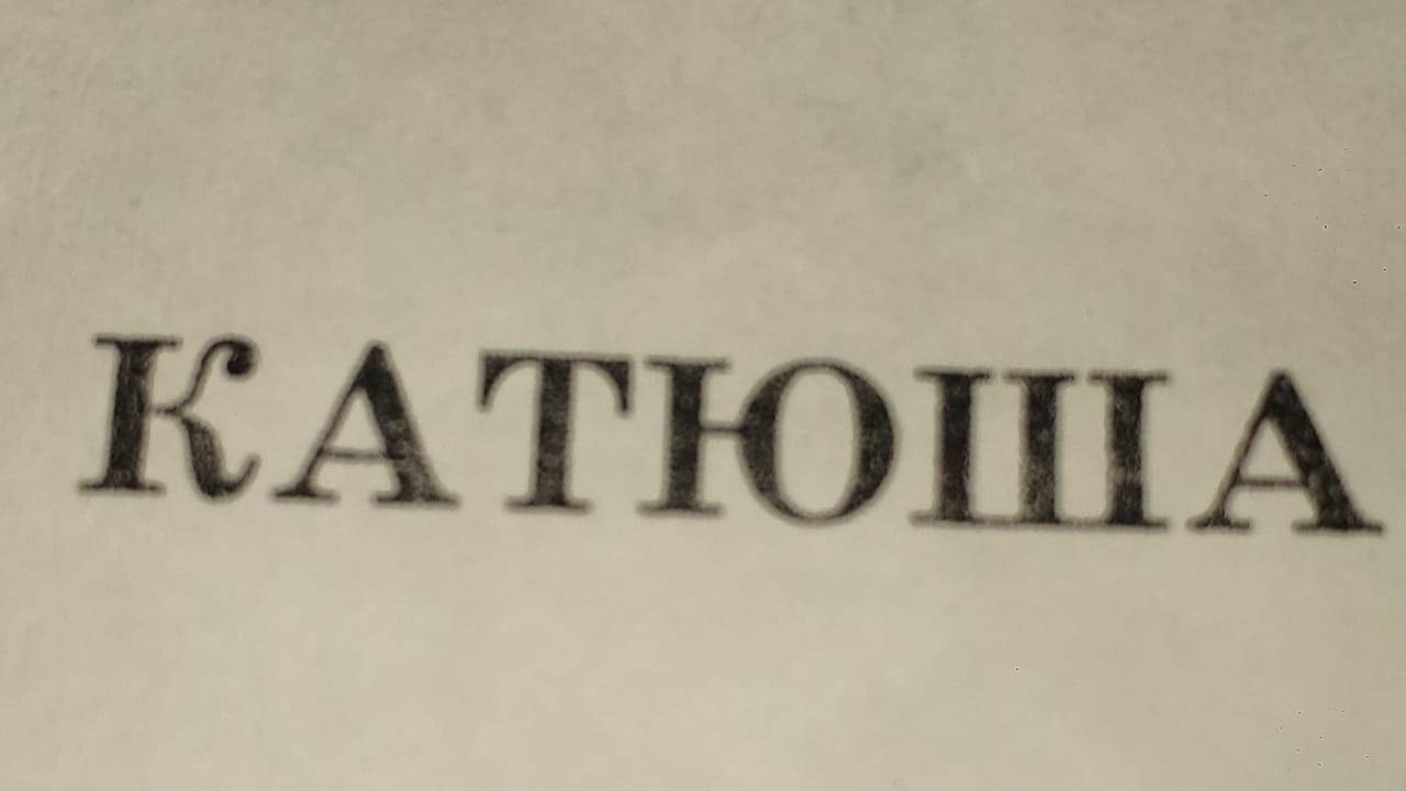 Играю на баяне.