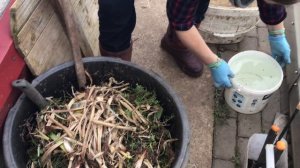 Барматуха Дзамболата, добавляем новые ингредиенты.