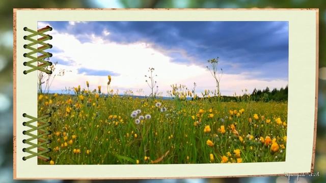 Стихи под музыку Читает Владимир Глазунов. "Как много дней, что прожито зря" Автор Эльдар Рязанов смотреть онлайн