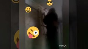 Прикол Пьяный электрик