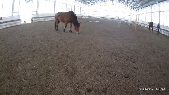 Атк Богдарня 16.02.2018 смотреть онлайн