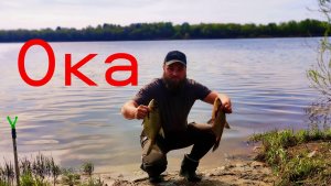 Рыбалка на ОКЕ. Три Дня РЫБАЛКИ. Ловим Рыбу Собираем Грибы