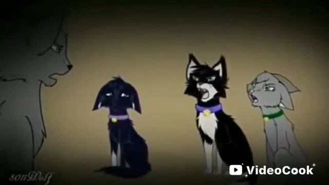 коты воители клип Бич "moon" #котывоители #Бич#клипmoon# смотреть онлайн