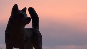 Интро канала