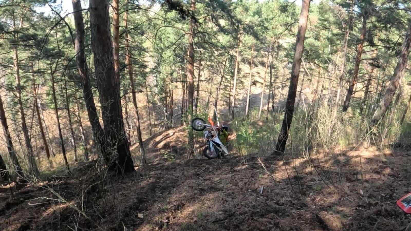 Комарковский бор. 01.05.2025г