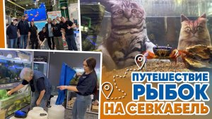 Аквариумные новости с Владимиром Ковалёвым (02.05.2025). Путешествие рыбок на Севкабель. Рептилиум.