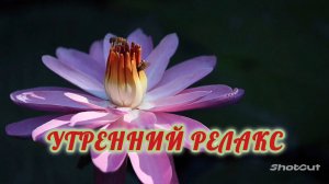 ДУШЕВНОГО СПОКОЙСТВИЯ И УВЕРЕННОСТИ В СЕГОДНЯШНЕМ ДНЕ.