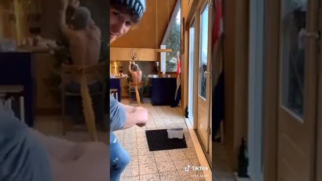 Видео приколы из интернета. смотреть онлайн