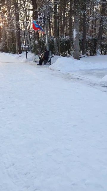 Гармонист в парке Зеленогорска смотреть онлайн