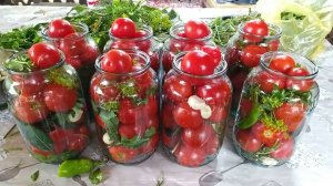 Прекрасный рецепт соленых помидор в банке на зиму.