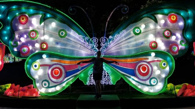 "Бабочка"  в Dubai Garden Glow, г. Дубай