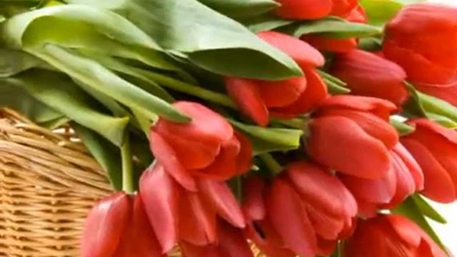 С ДНЕМ РОЖДЕНИЯ ЮЛЬКА) смотреть онлайн