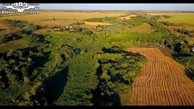 Балаклея. Волчий Яр. 05.08.2020 смотреть онлайн