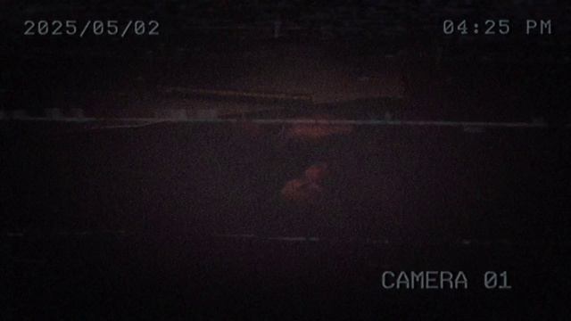 Запись 3, сросшиеся тела