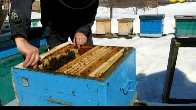 Осмотр отводка после зимовки 2013 года смотреть онлайн